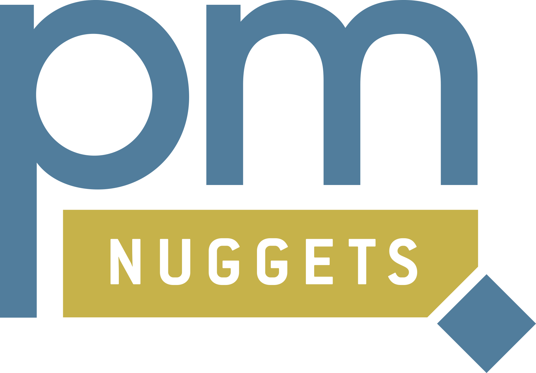 RUHR PM Nuggets